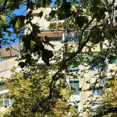 Panoramic *