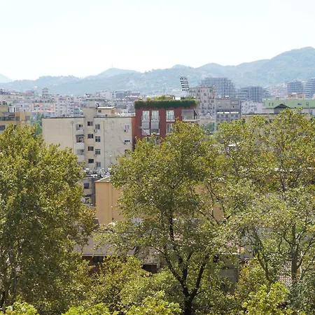 Panoramic