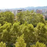 Panoramic